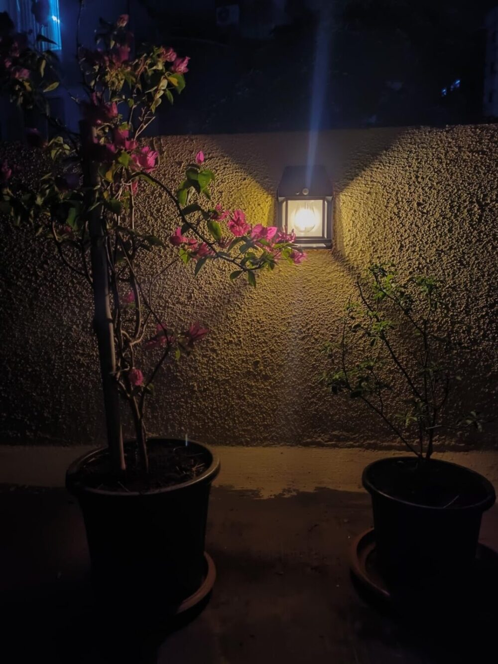 Solar Induction Wall Lamp. - Image 5